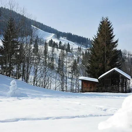 Apartament Tara Wagrain